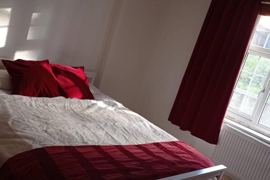Sunny And Spacious Flat In Nw3 ลอนดอน ภายนอก รูปภาพ